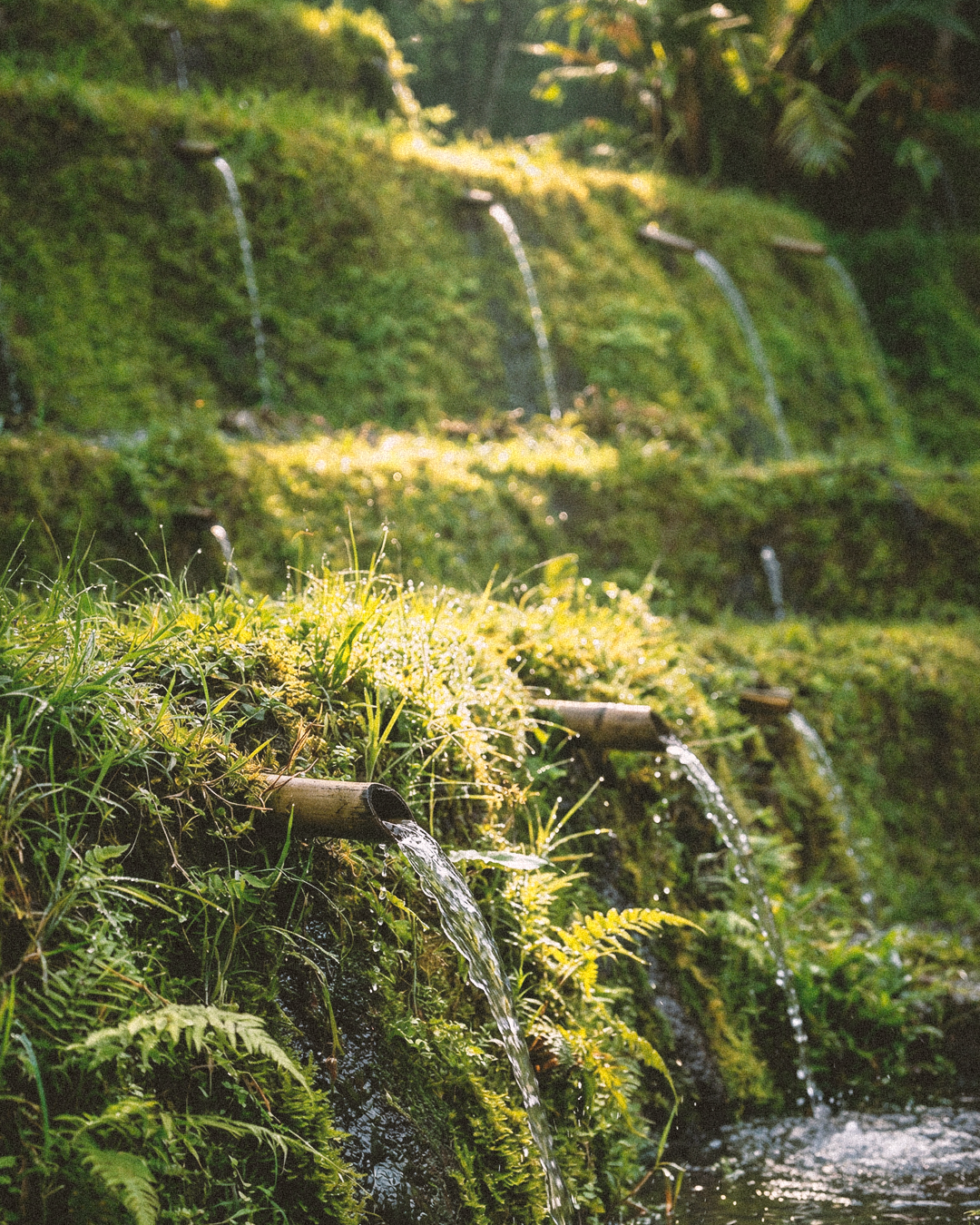 Bali Rain connecting within, zero to low sugar rain-sourced drinks Bali no synthetic fillers