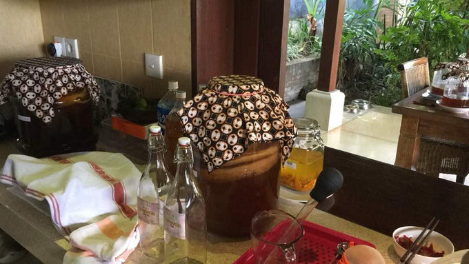 Bali Rain home lab 2016, first sugar-free kombucha brewed in Bali
